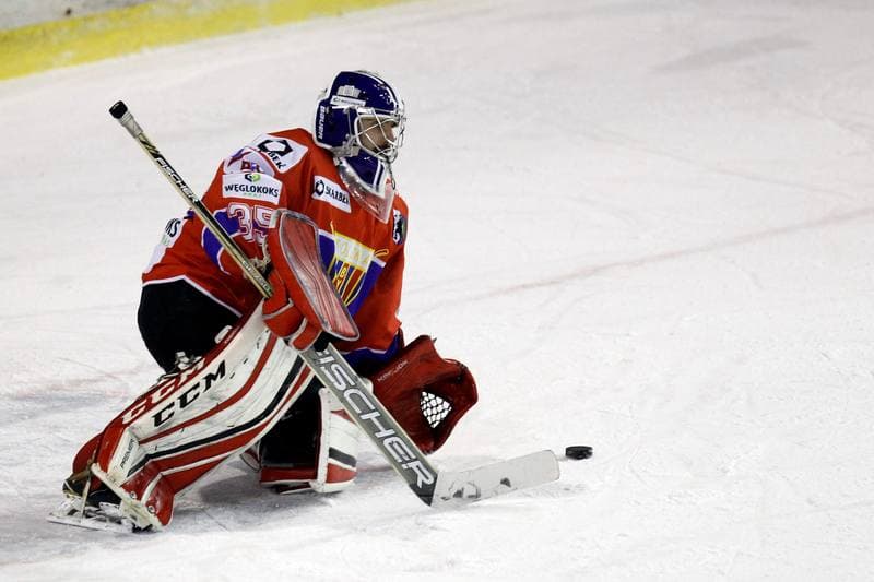 Ice Hockey. Polska Hokej Liga. Zaglebie Sosnowiec - Weglokoks Kraj Polonia Bytom. 13.01.2019