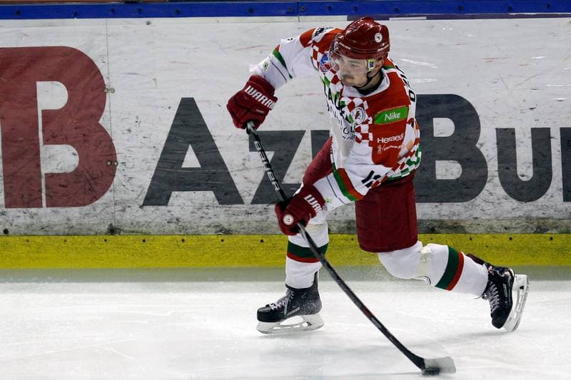 Ice Hockey. Polska Hokej Liga. Zaglebie Sosnowiec - Unia Oswiecim. 01.02.2019