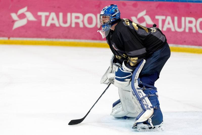 Ice Hockey. Polska Hokej Liga. Tauron KH GKS Katowice - Comarch Cracovia. 11.03.2019