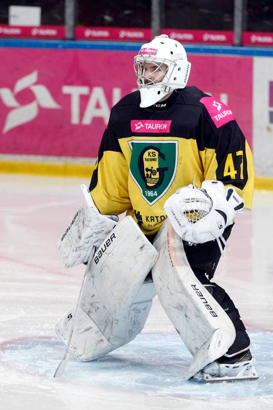 Ice Hockey. Polska Hokej Liga. Tauron KH GKS Katowice - Comarch Cracovia. 17.03.2019