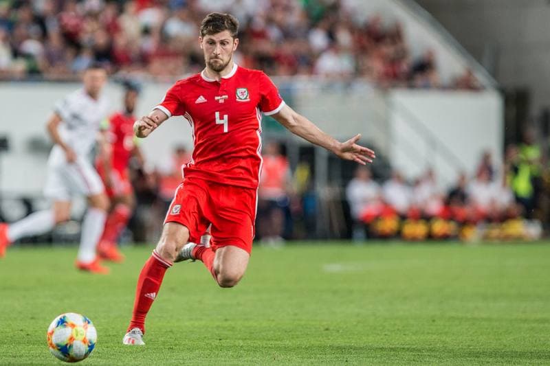 Football. Euro 2020 Qualifiers. Hungary - Wales. 11.06.2019