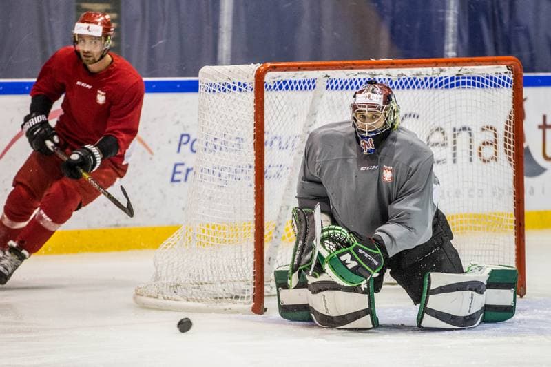 Ice Hockey. Poland national team. Training. 08.11.2019