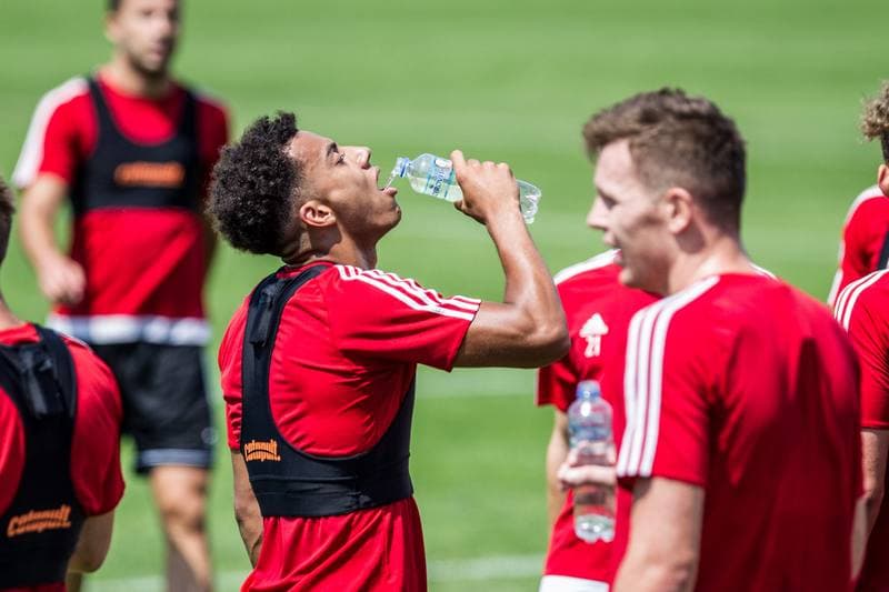 Football. Gornik Zabrze. Training. 18.06.2019