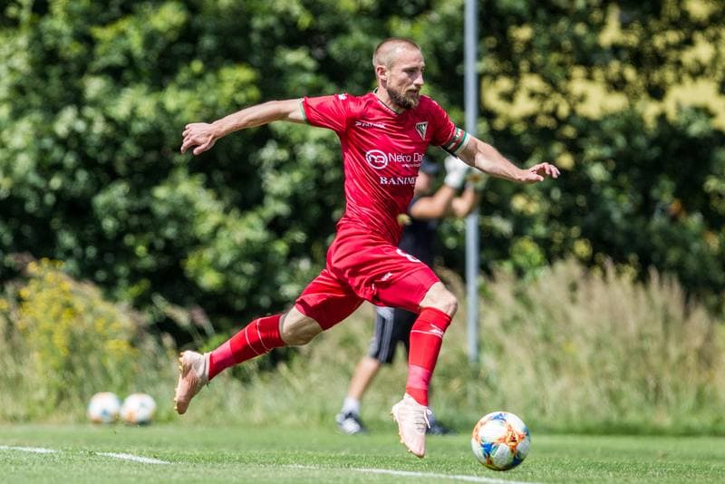 Football. Sparing. Zaglebie Sosnowiec - Fotbal Trinec. 03.07.2019
