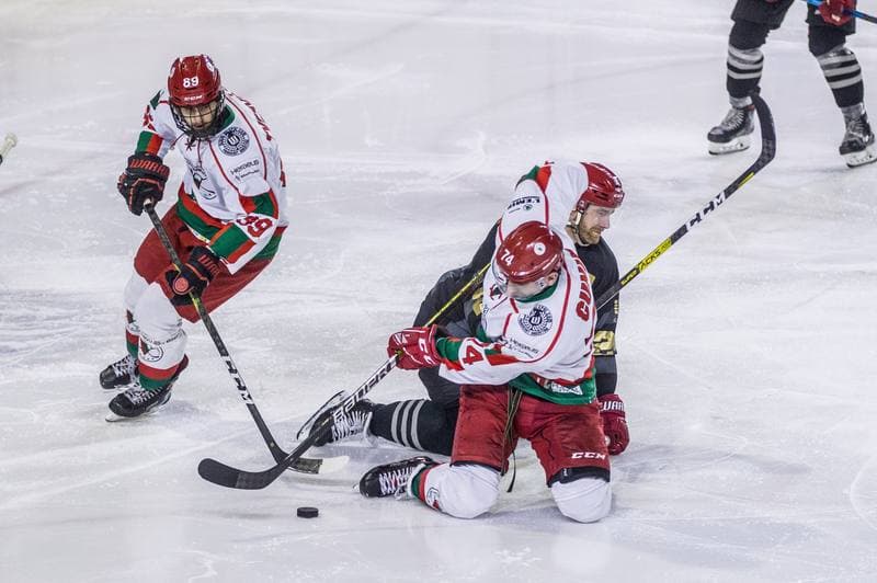 Ice Hockey. PHL. Zaglebie Sosnowiec - Comarch Cracovia. 31.01.2020