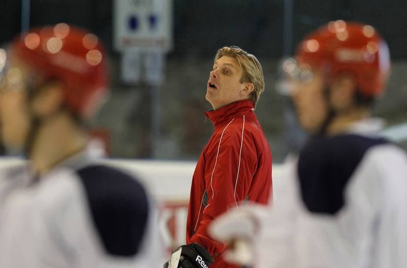 Ice Hockey. Poland national team. Training. 14.04.2015