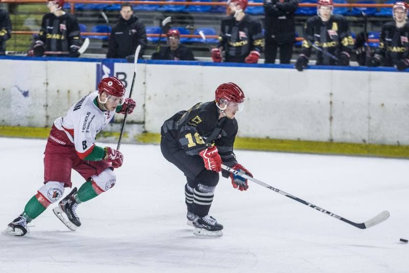Ice Hockey. PHL. Zaglebie Sosnowiec - Comarch Cracovia. 07.12.2021