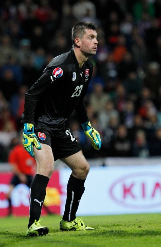 Football. UEFA Euro 2016 Qualifiers. Slovakia - Ukraine. 08.09.2015