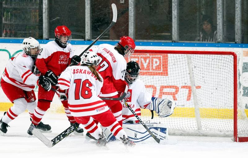 Ice Hockey. U18 Women's World Championship Division I. Poland - Denmark. 25.01.2015
