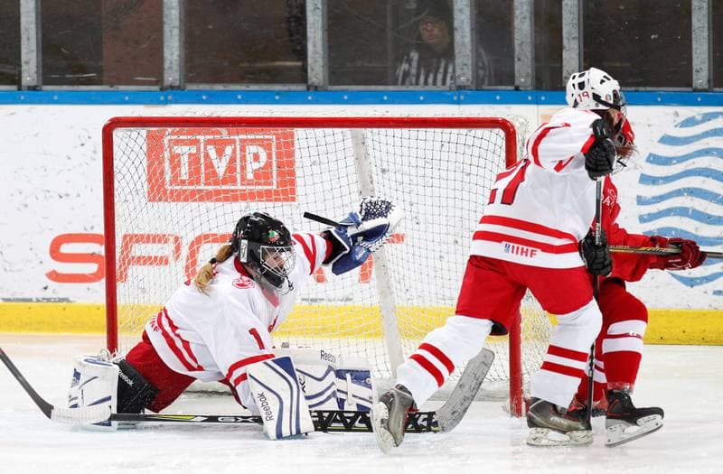 Ice Hockey. U18 Women's World Championship Division I. Poland - Denmark. 25.01.2015