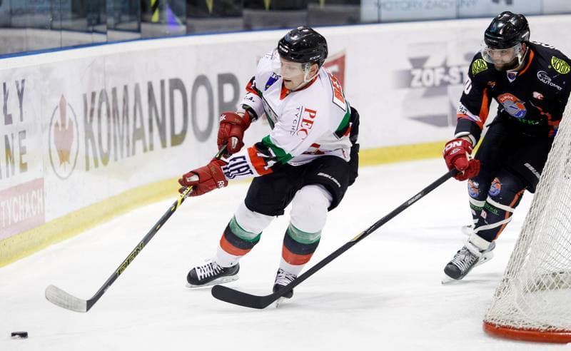 Ice Hockey. Polska Hokej Liga. GKS Tychy - Ciarko KH Sanok. 23.01.2015