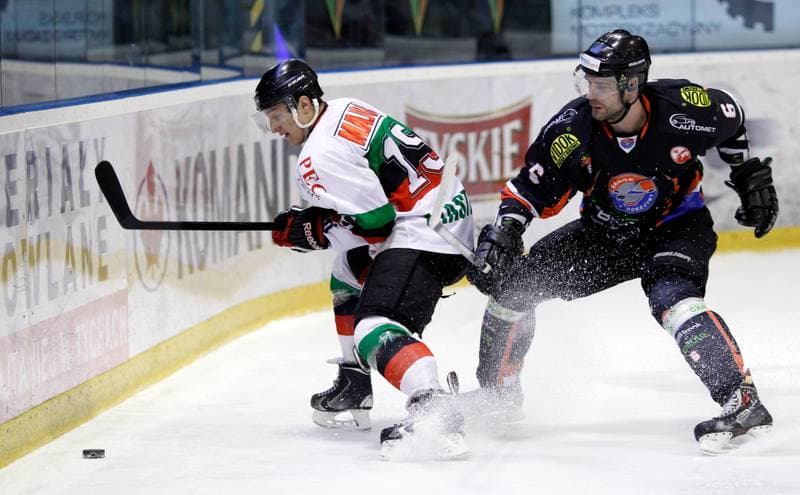 Ice Hockey. Polska Hokej Liga. GKS Tychy - Ciarko KH Sanok. 23.01.2015