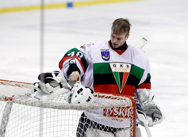 Ice Hockey. Polska Hokej Liga. GKS Tychy - Ciarko KH Sanok. 23.01.2015