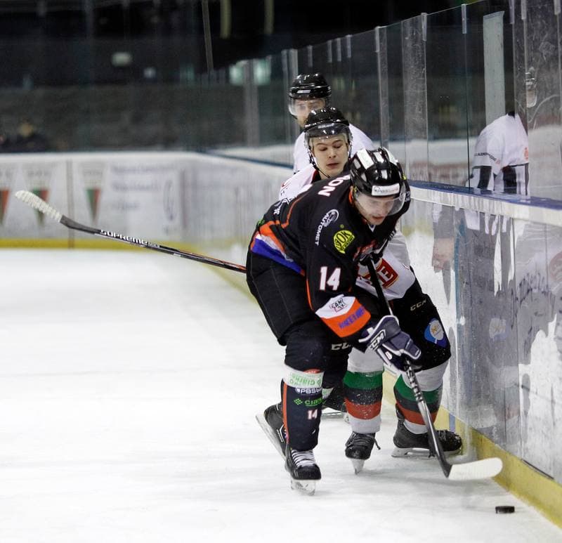Ice Hockey. Polska Hokej Liga. GKS Tychy - Ciarko KH Sanok. 23.01.2015