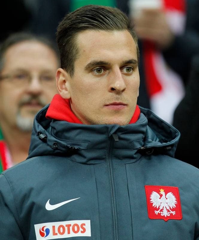 Football. UEFA Euro Qualifiers. Poland - Ireland. 11.10.2015