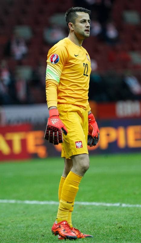Football. UEFA Euro Qualifiers. Poland - Ireland. 11.10.2015