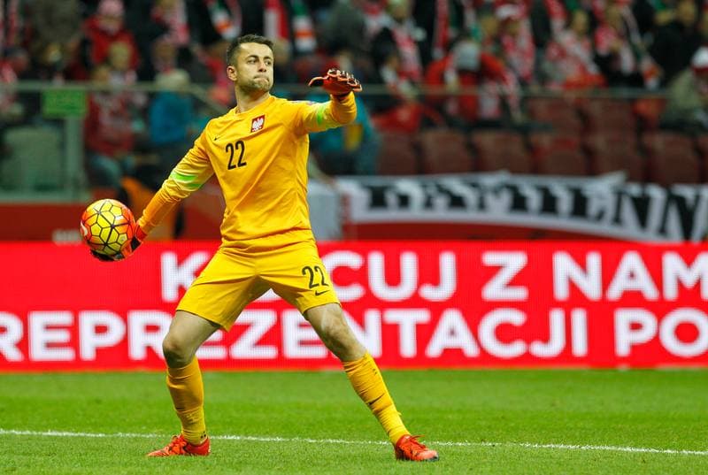Football. UEFA Euro Qualifiers. Poland - Ireland. 11.10.2015