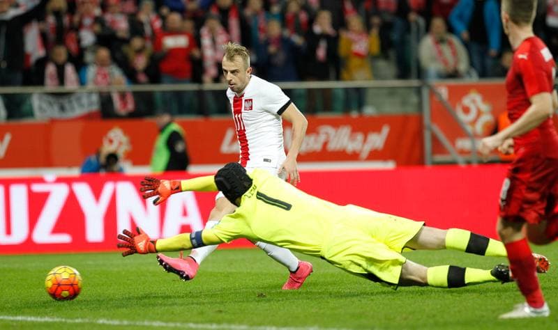 Football. International Friendly. Poland - Czech Republic. 17.11.2015