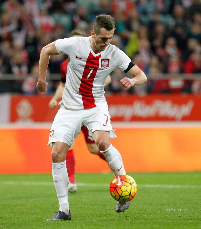 Football. International Friendly. Poland - Czech Republic. 17.11.2015