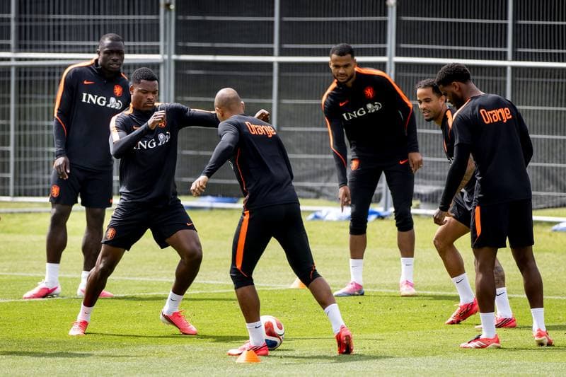Football. FIFA World Cup 2026. Netherlands. Training. 22.06.2026