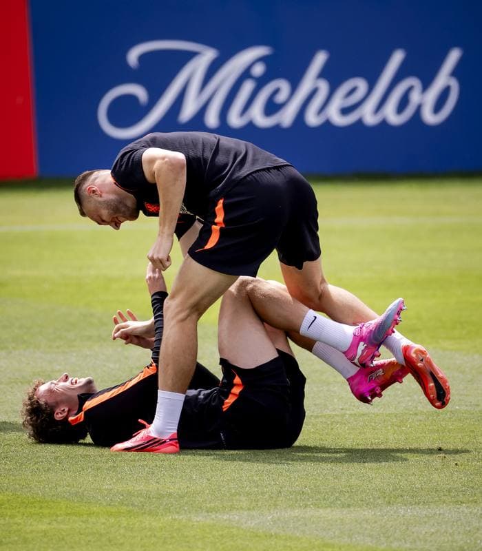 Football. FIFA World Cup 2026. Netherlands. Training. 22.06.2026