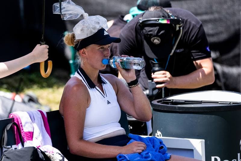 Tennis. Bad Homburg Open. Ekaterina Alexandrova - Mirra Andreeva. 24.06.2026
