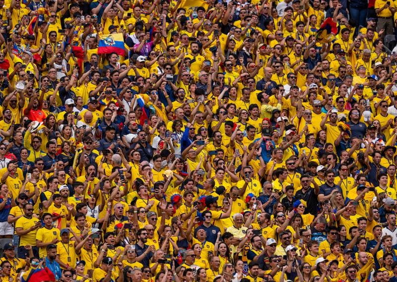 Football. FIFA World Cup 2026. Ecuador - Germany. 25.06.2026