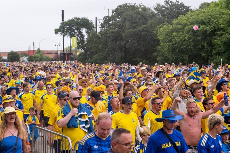 Football. FIFA World Cup 2026. Japan - Sweden. 25.06.2026