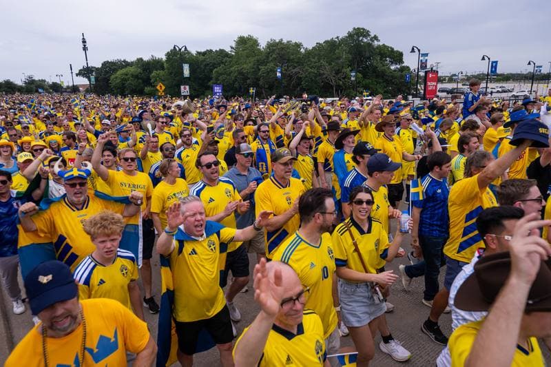 Football. FIFA World Cup 2026. Japan - Sweden. 25.06.2026