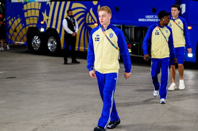 Football. FIFA World Cup 2026. Japan - Sweden. 25.06.2026