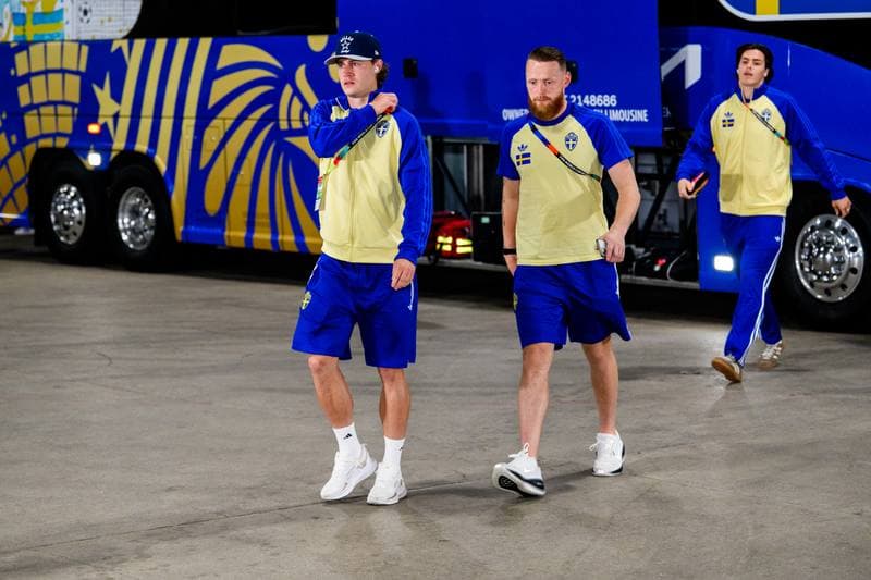 Football. FIFA World Cup 2026. Japan - Sweden. 25.06.2026