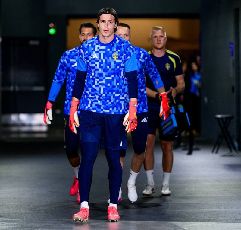 Football. FIFA World Cup 2026. Japan - Sweden. 25.06.2026