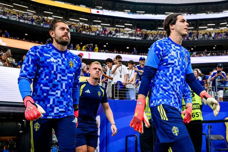 Football. FIFA World Cup 2026. Japan - Sweden. 25.06.2026