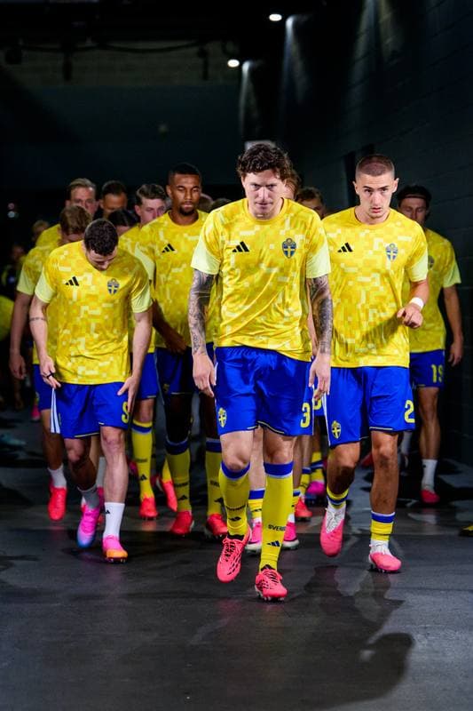 Football. FIFA World Cup 2026. Japan - Sweden. 25.06.2026