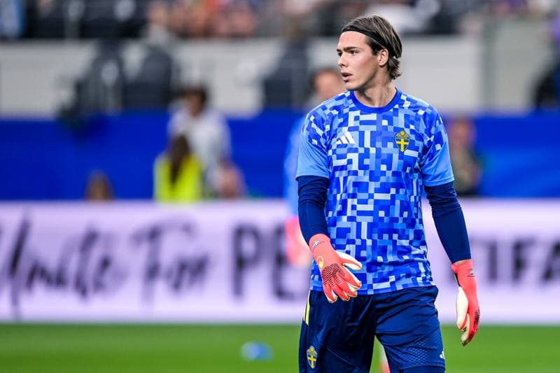 Football. FIFA World Cup 2026. Japan - Sweden. 25.06.2026