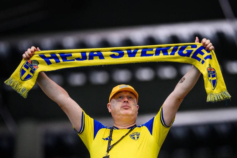 Football. FIFA World Cup 2026. Japan - Sweden. 25.06.2026
