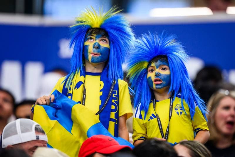 Football. FIFA World Cup 2026. Japan - Sweden. 25.06.2026