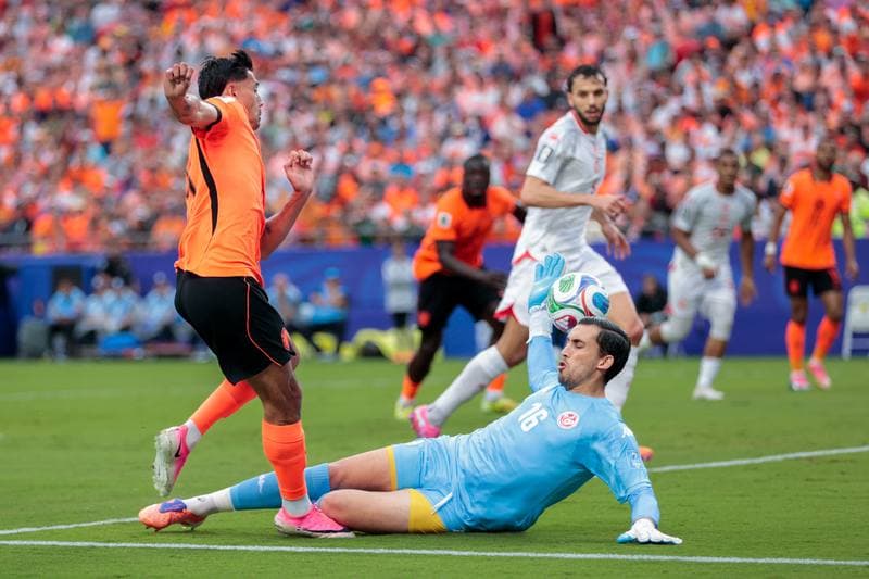 Football. FIFA World Cup 2026. Tunisia - Netherlands. 25.06.2026