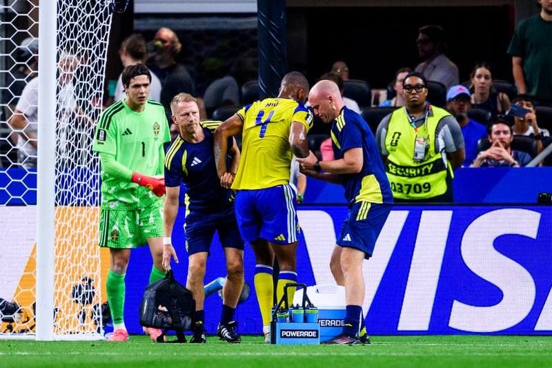 Football. FIFA World Cup 2026. Japan - Sweden. 25.06.2026