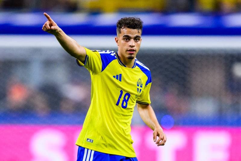 Football. FIFA World Cup 2026. Japan - Sweden. 25.06.2026