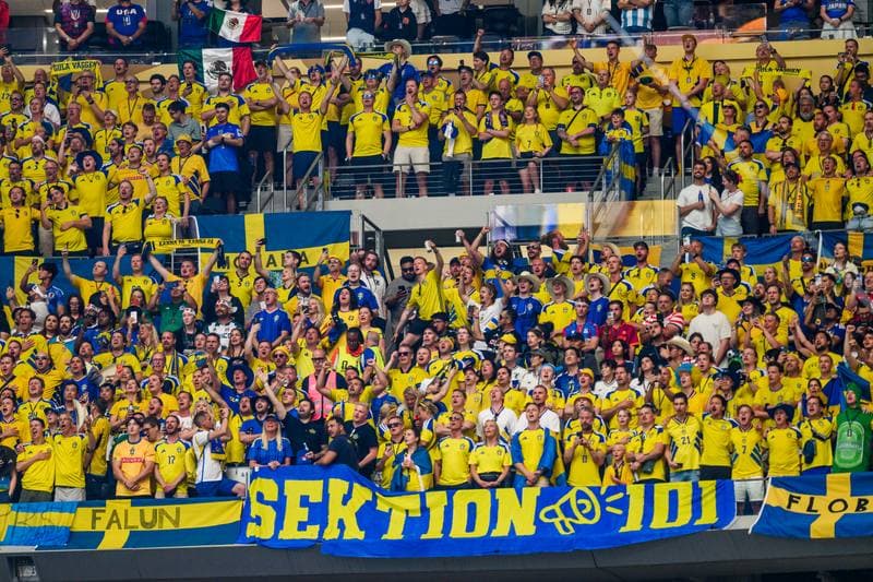 Football. FIFA World Cup 2026. Japan - Sweden. 25.06.2026