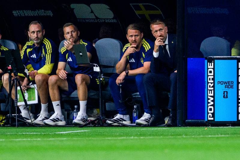 Football. FIFA World Cup 2026. Japan - Sweden. 25.06.2026
