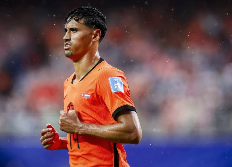 Football. FIFA World Cup 2026. Tunisia - Netherlands. 25.06.2026