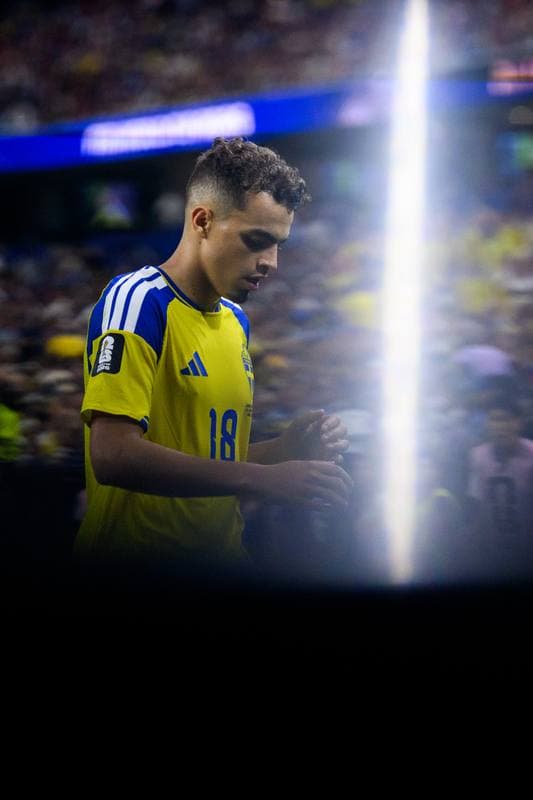 Football. FIFA World Cup 2026. Japan - Sweden. 25.06.2026