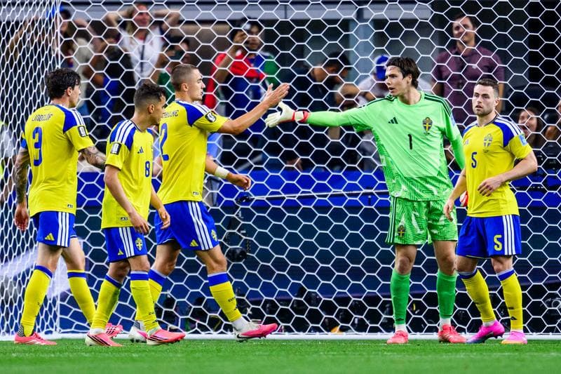 Football. FIFA World Cup 2026. Japan - Sweden. 25.06.2026