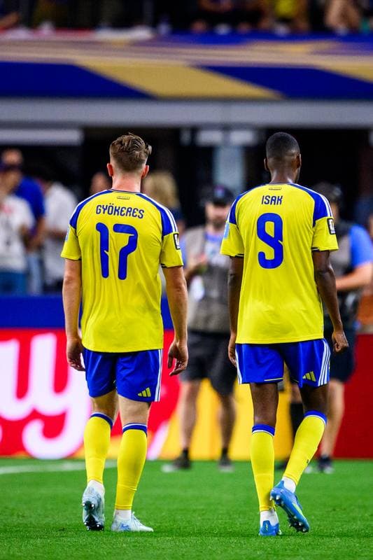 Football. FIFA World Cup 2026. Japan - Sweden. 25.06.2026