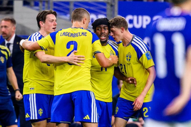 Football. FIFA World Cup 2026. Japan - Sweden. 25.06.2026