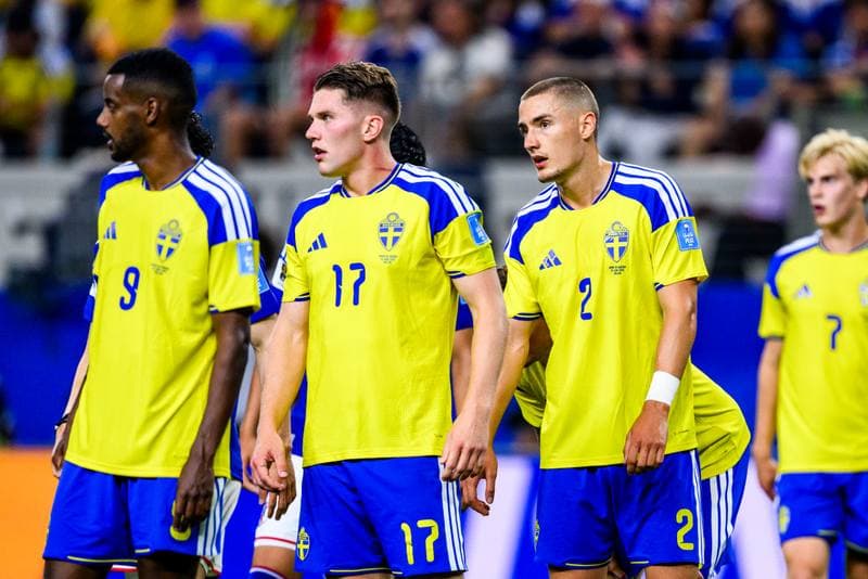 Football. FIFA World Cup 2026. Japan - Sweden. 25.06.2026