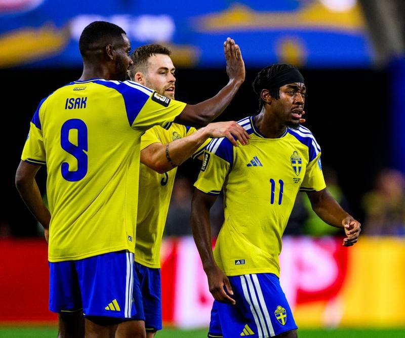 Football. FIFA World Cup 2026. Japan - Sweden. 25.06.2026