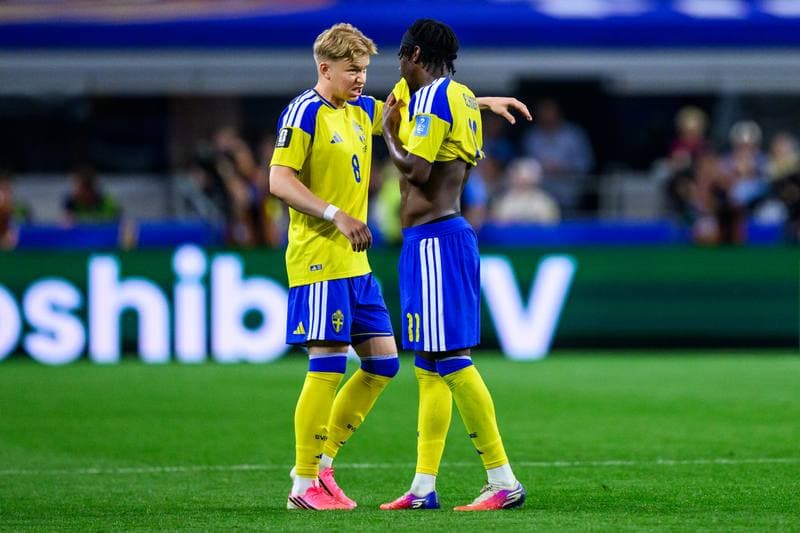 Football. FIFA World Cup 2026. Japan - Sweden. 25.06.2026